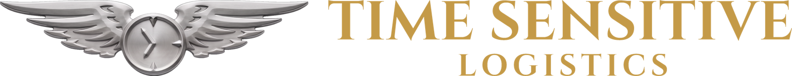 Time Sensitive Logistics